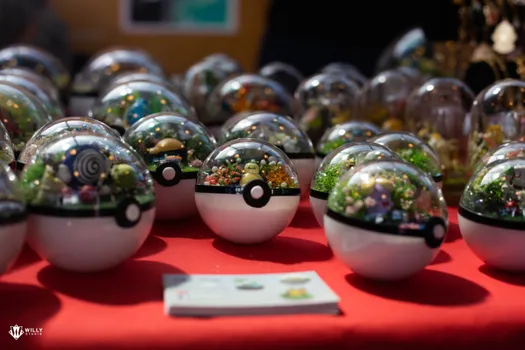 Copyright : William Studio